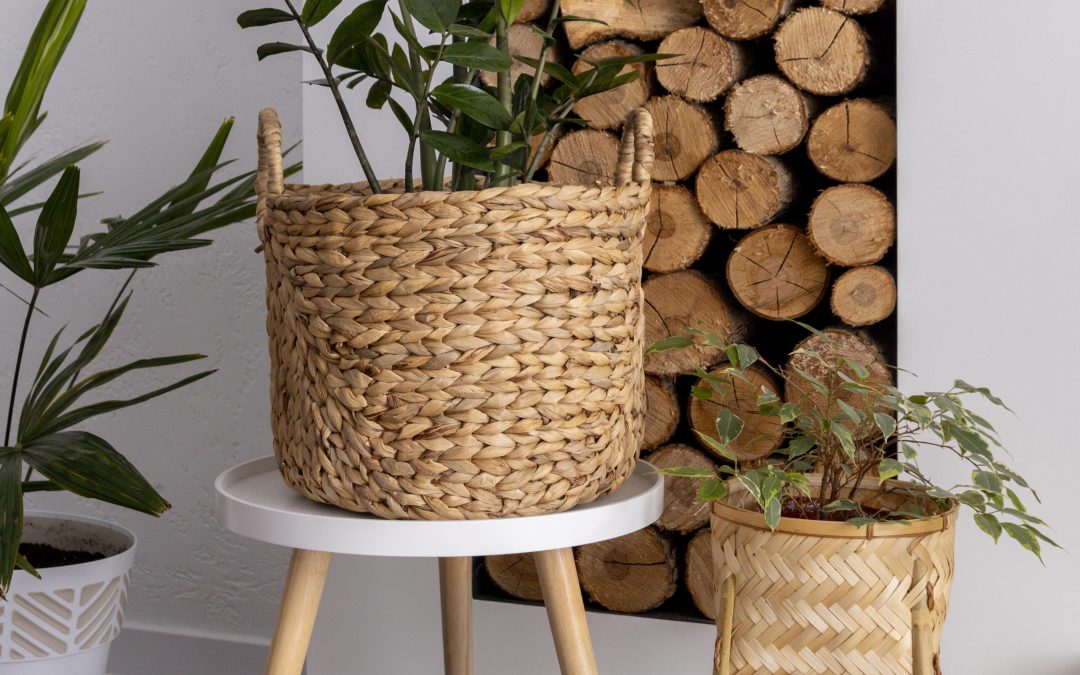 Sostenibilidad en cada restauración