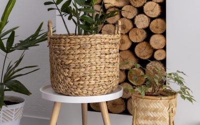 Sostenibilidad en cada restauración